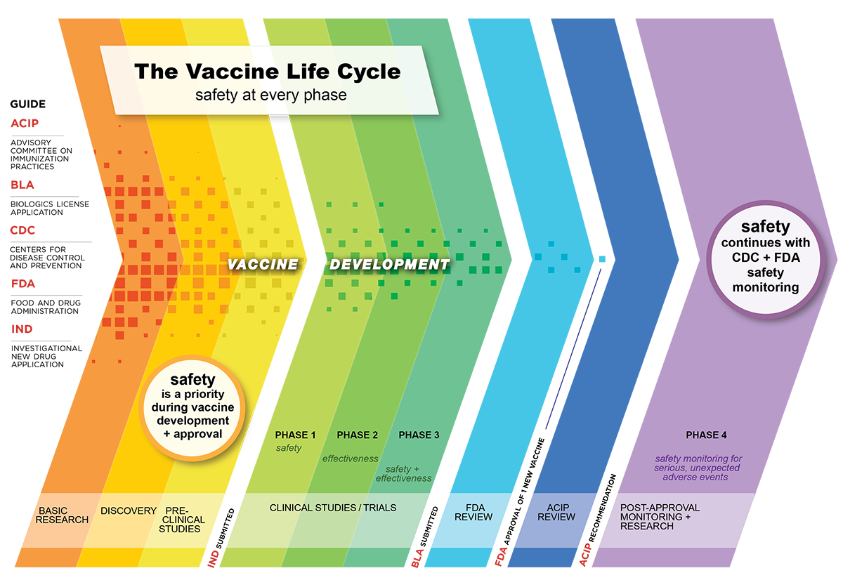 Vaccine-Safety-Process